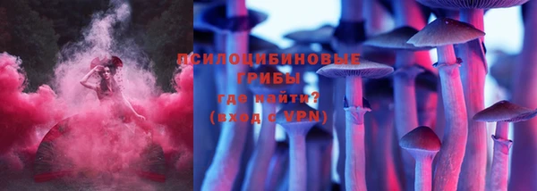 Альфа ПВП Осташков