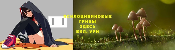 Альфа ПВП Осташков