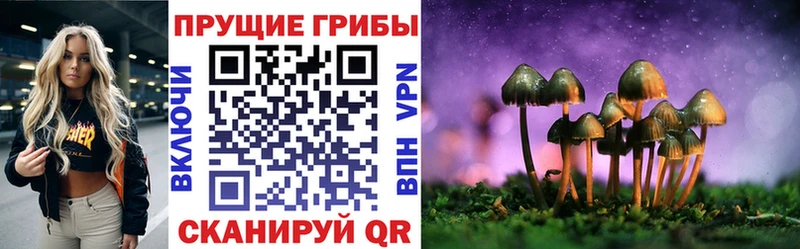 Псилоцибиновые грибы MAGIC MUSHROOMS  цены наркотик  Урень 